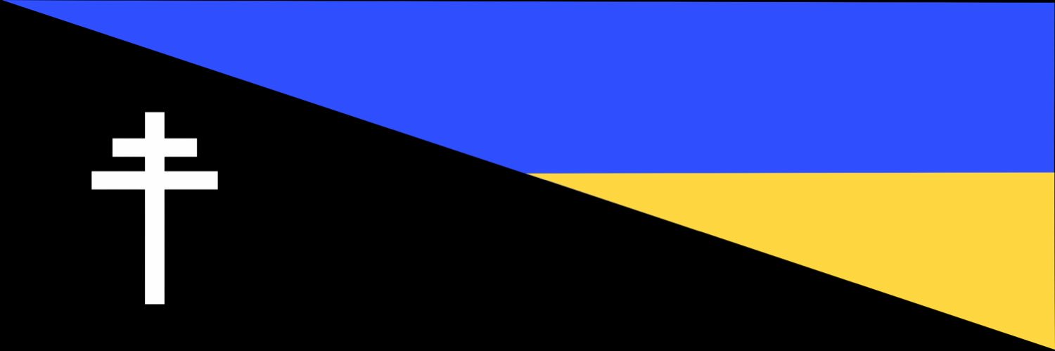Raccoon's banner