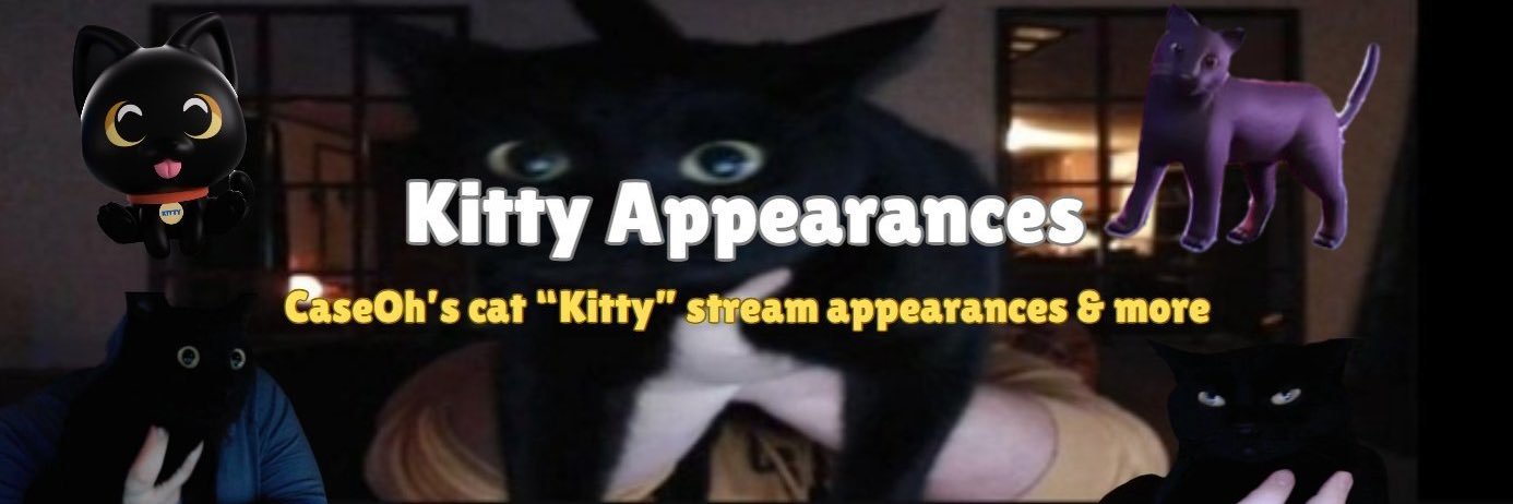 kitty appearances 🐈‍⬛'s banner