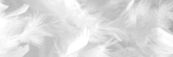 ꪀꪮꪜꪖ 🦄🪽's banner