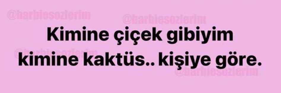 Hande Hanedanoğlu's banner