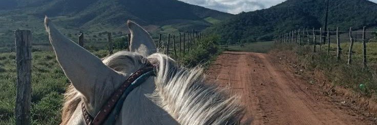 Don'Ricky 🥷🏿🇿🇦's banner
