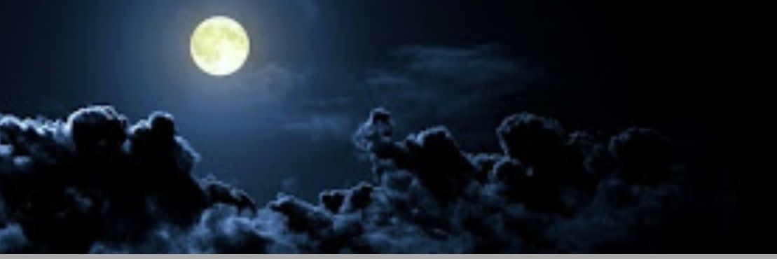 Açelya's banner