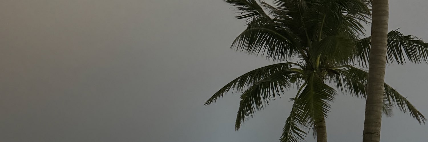 簪's banner