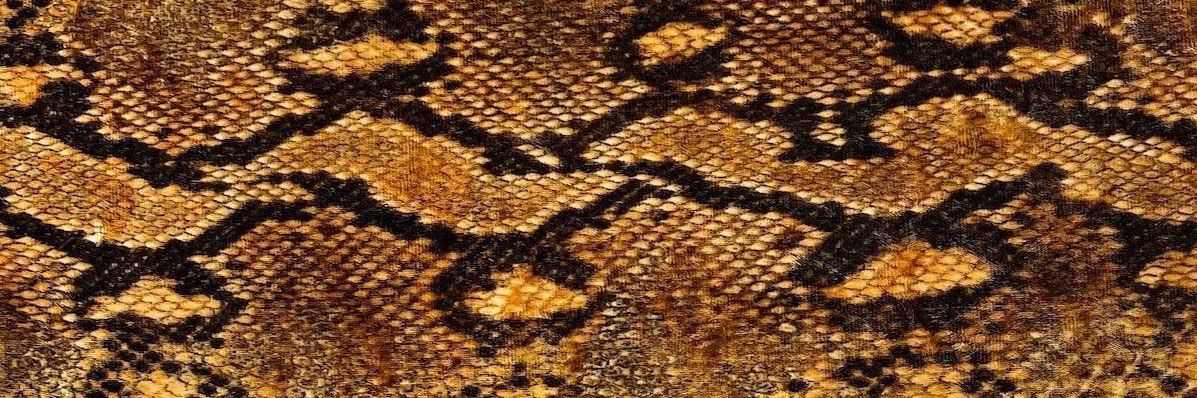 goldenboy 🦅🌕's banner