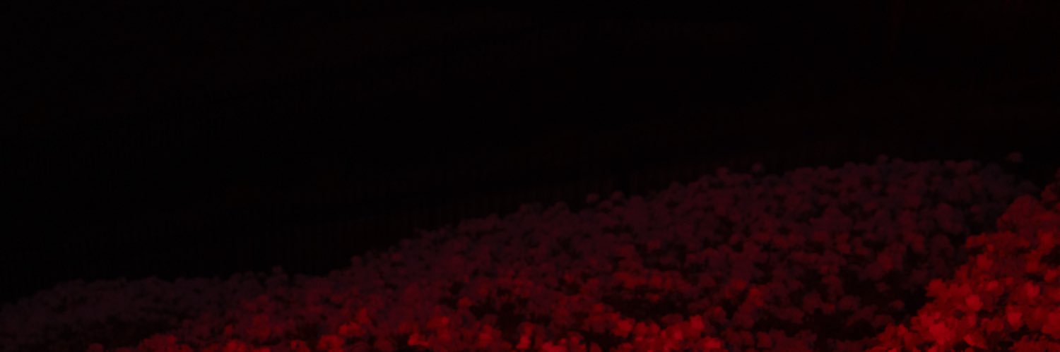 君島大空's banner