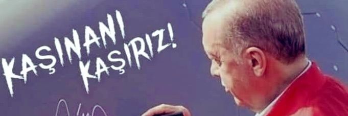 ⅅ乇ㄥ ị 乃乇ㄥ卂 ¹'s banner