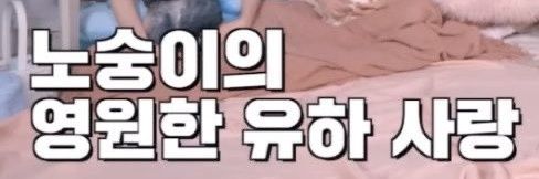도독's banner