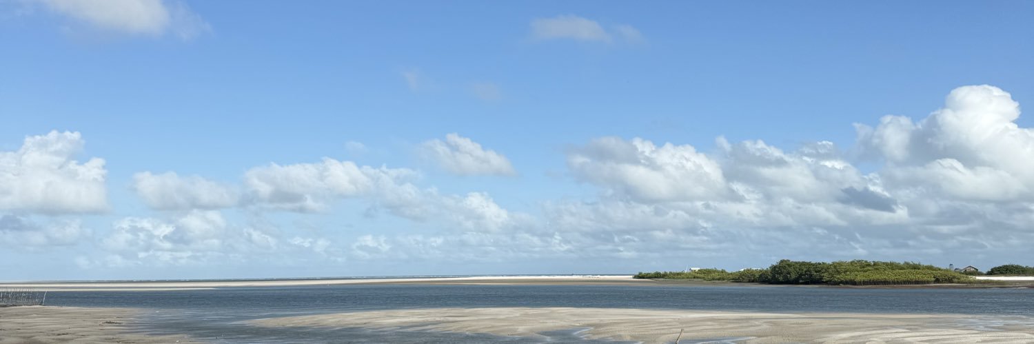 Lucas Maués's banner