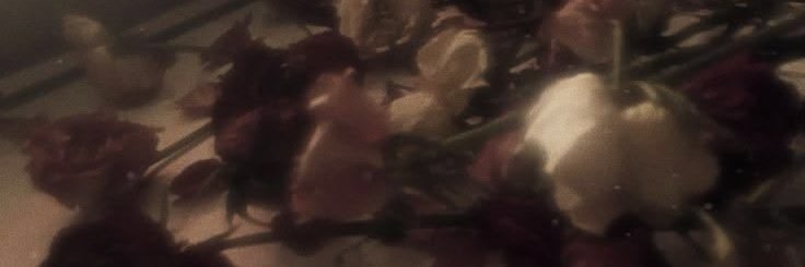 viss's banner