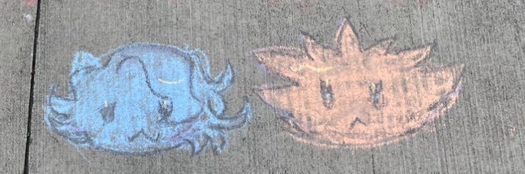 taro 🪻's banner