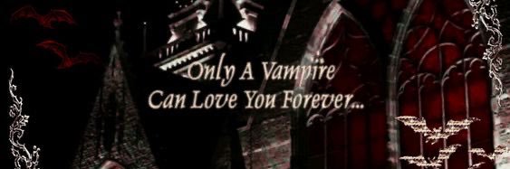 𑣲steffy's banner