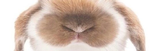 好怕你们有厌蠢症不和我玩了's banner