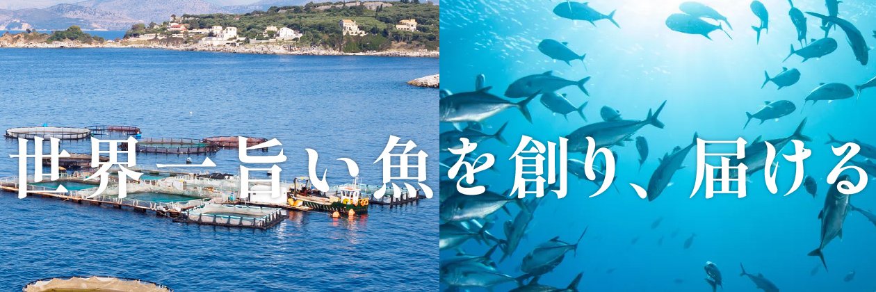 夢あじ｜さかなドリーム公式's banner