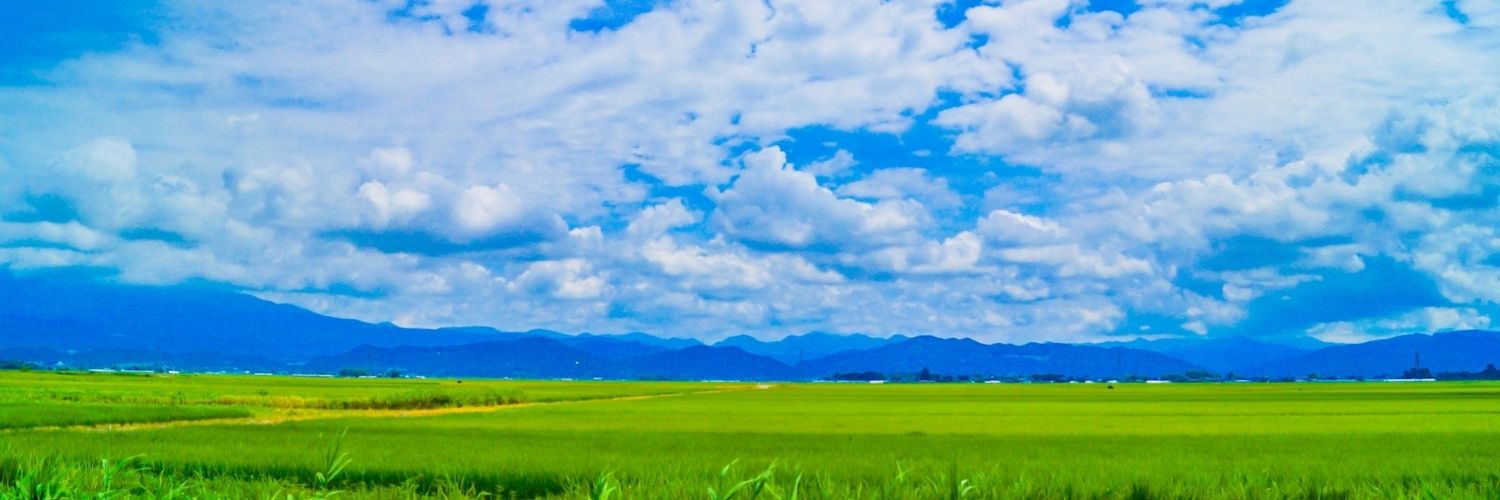 鈴木けんた後援会's banner
