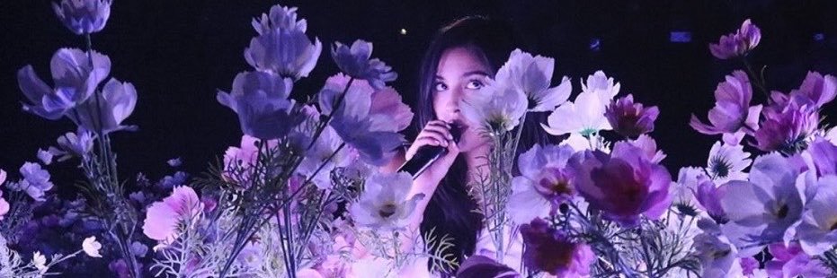nelly (59.25)'s banner