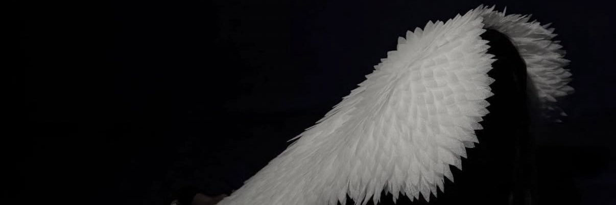 mike's banner