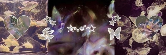 lilybug (man-hating lesbian)'s banner