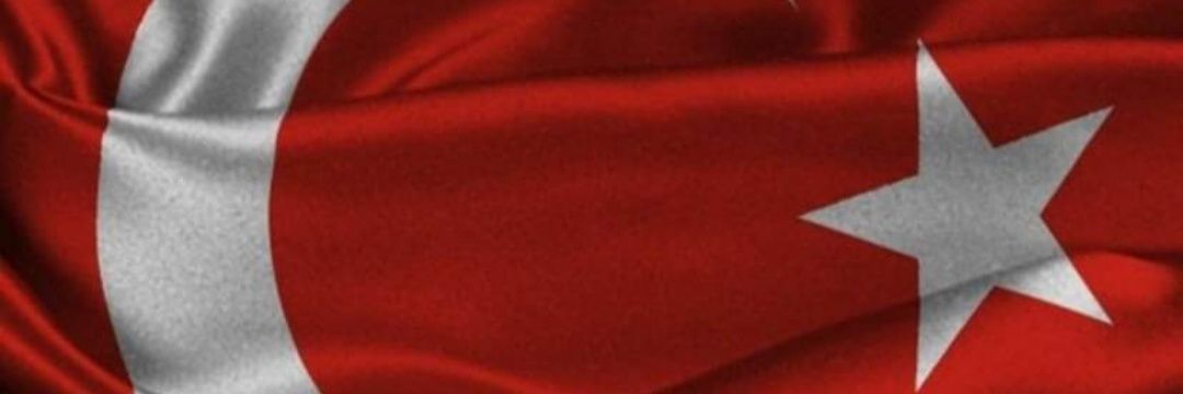 The__Differenc 🇹🇷's banner