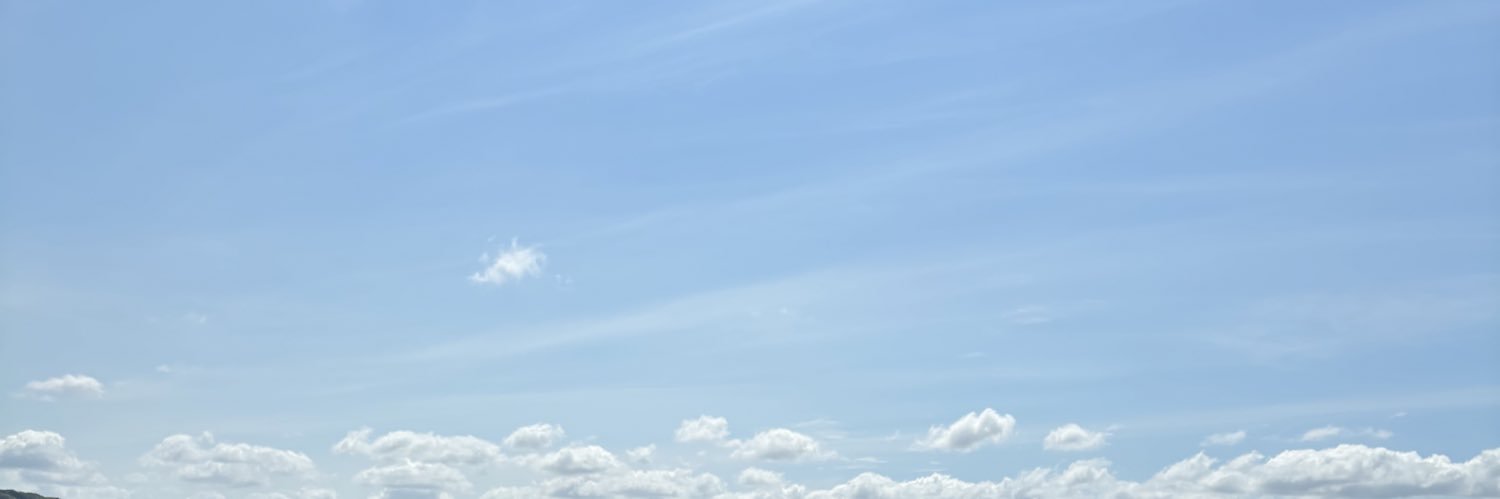 ちまちま🐰's banner