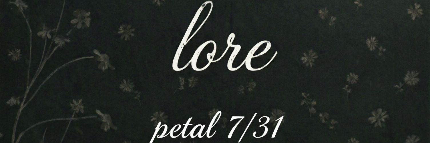 𝓵𝓸𝓻𝓮ꕤ's banner