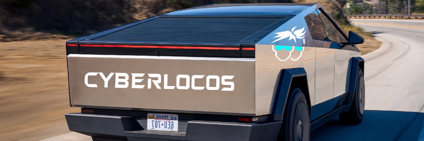 CyberLocos's banner