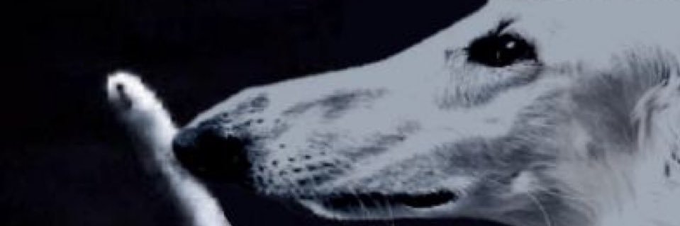 parkeuh's banner