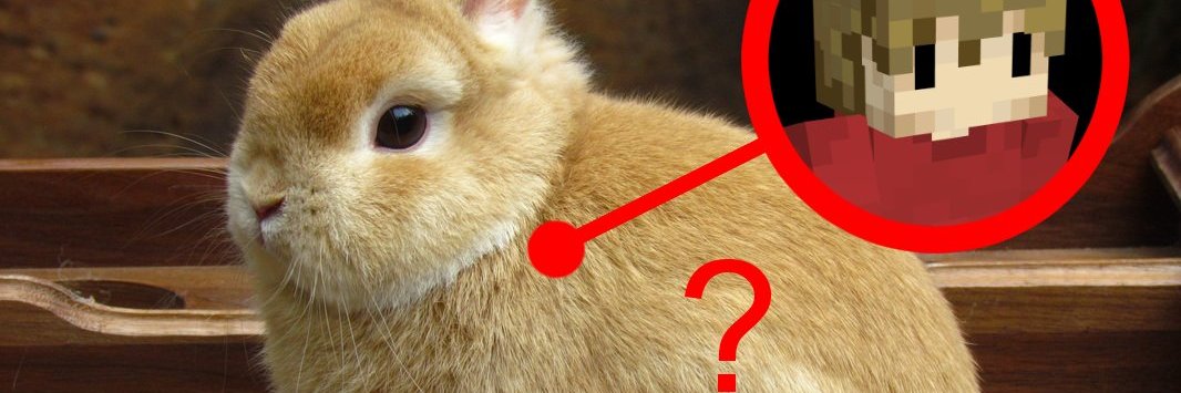 ✦ shiloh 🐇🕊️'s banner