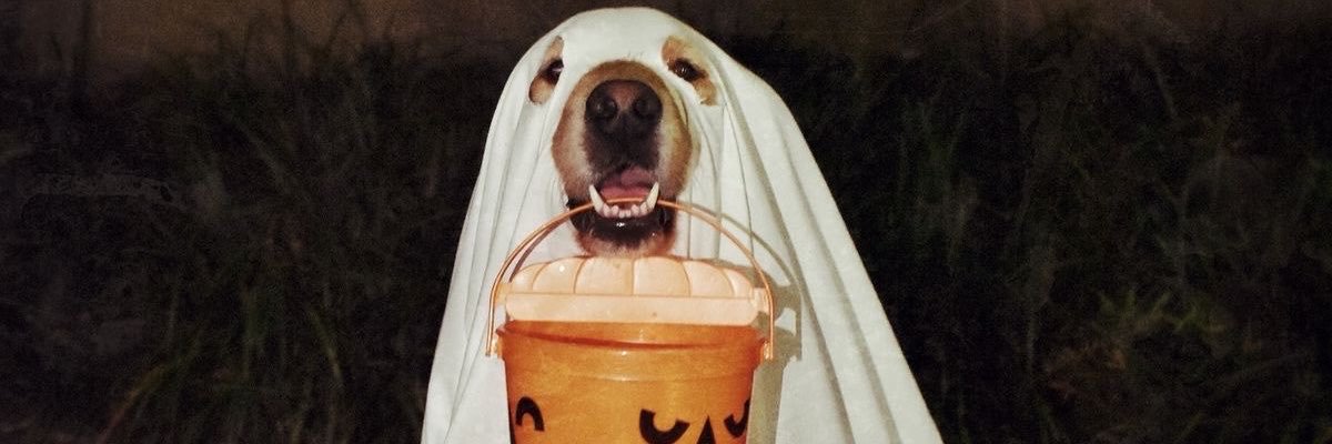 ✮ ⋆ ˚｡🎃Cosmos 🥮｡° ⋆ ✩'s banner