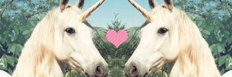 giu౨ৎ tocou no lix 4x's banner
