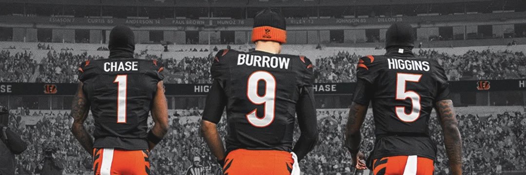 Bengals Central's banner