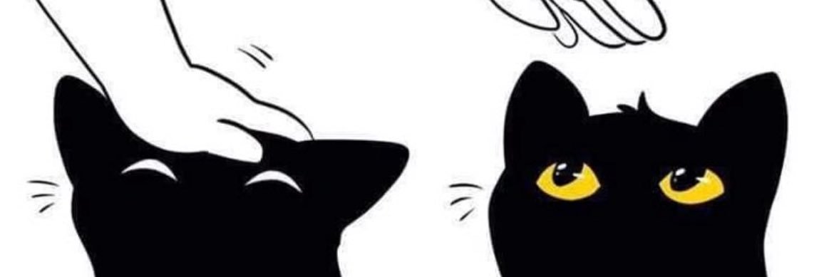 小椿Camellia.'s banner
