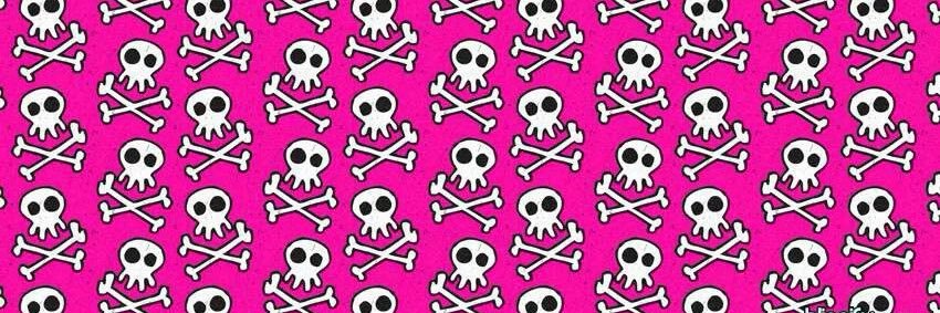 ☠️ ronnie ricochet's banner
