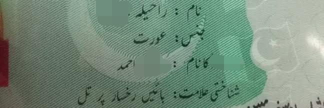 Rahila Ijaz's banner