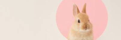 るか's banner