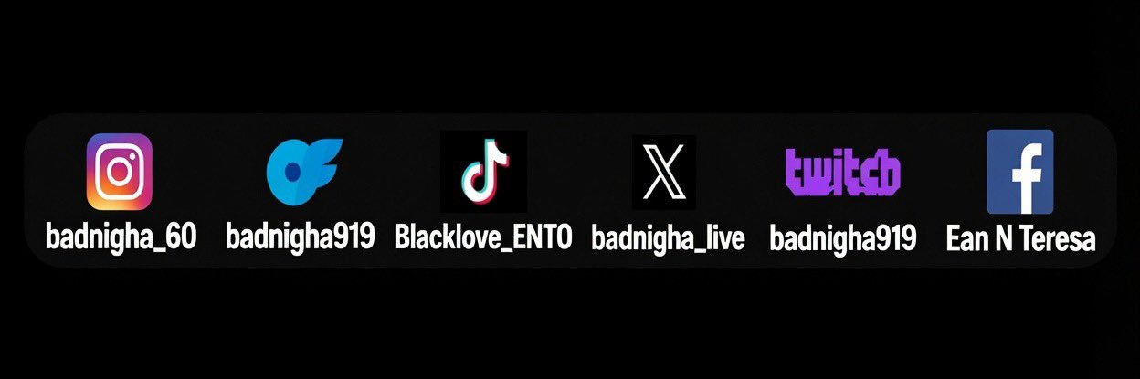 badnigga's banner
