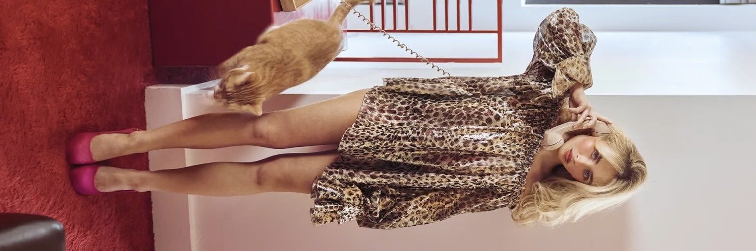 sabrina files's banner