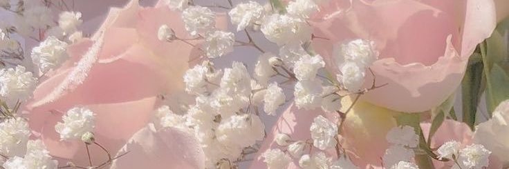 はう⁺ ｡ ♡'s banner