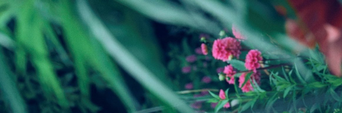【公式】葉山侑樹 calendar 2027's banner