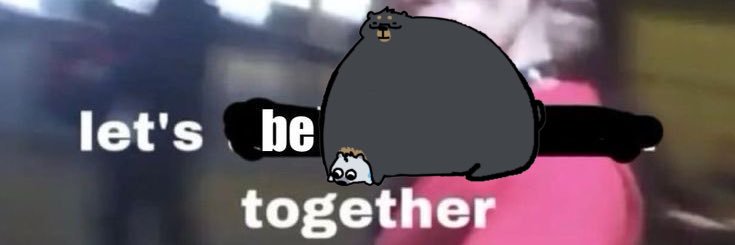 kookie's banner