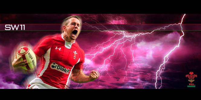 Shane Williams's banner