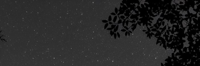Davian's banner
