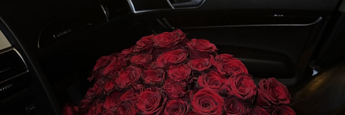 𝐓𝐡𝐞 𝐑𝐨𝐠𝐮𝐞 𝐏𝐫𝐢𝐧𝐜𝐞𝐬𝐬 🖤's banner
