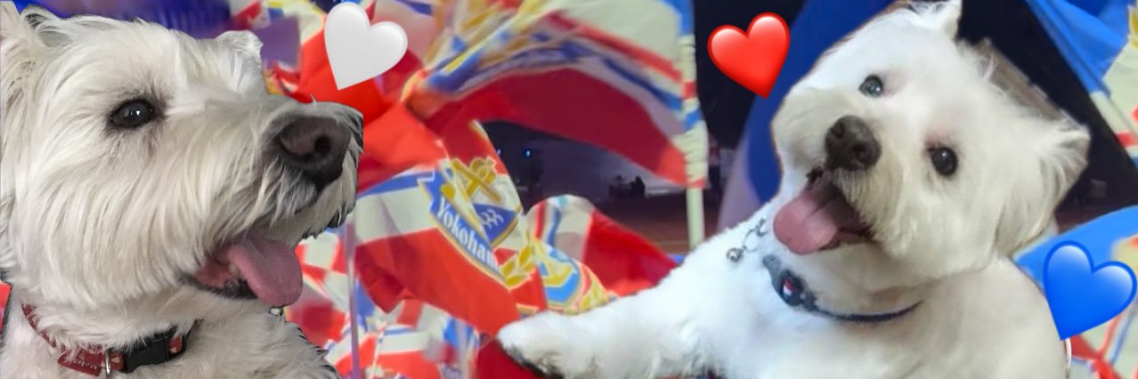 山口みらん's banner