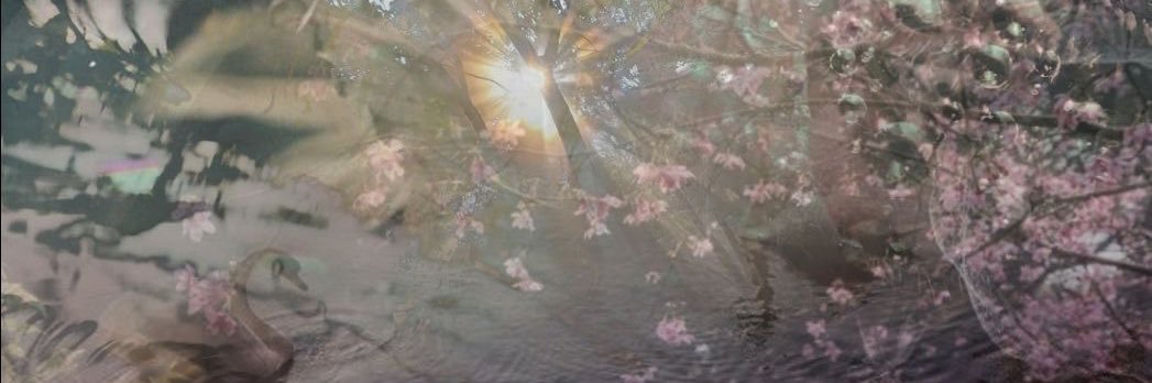 Jó 🦢's banner