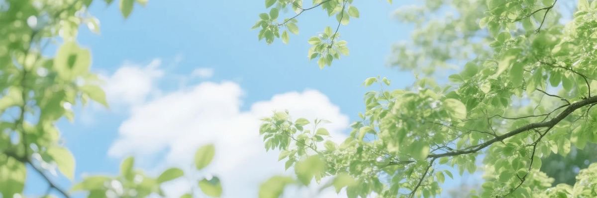 🍓 #BringValkoBack's banner