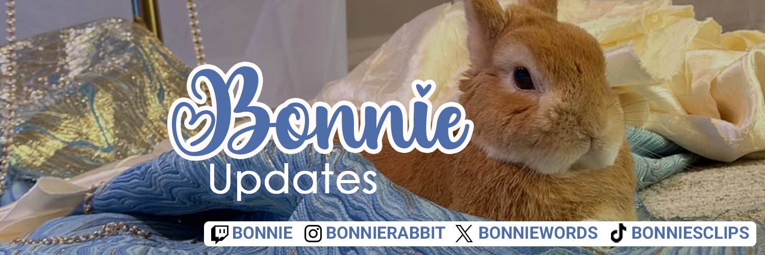 Bonnie Updates's banner