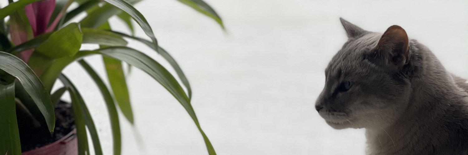 FloridaCouple85's banner