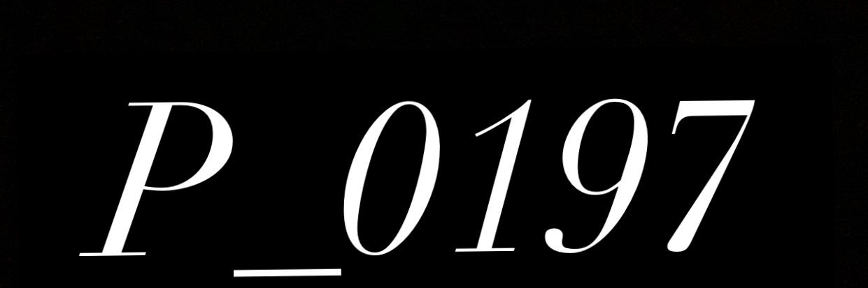 P_0197's banner