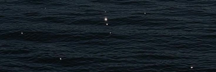 kiriw 🐉's banner