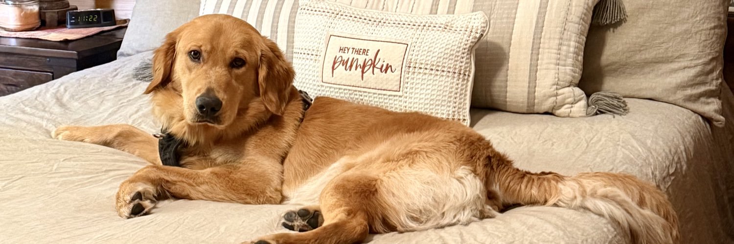 ChanceTheGolden's banner